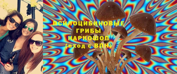 PSILOCYBIN Беломорск